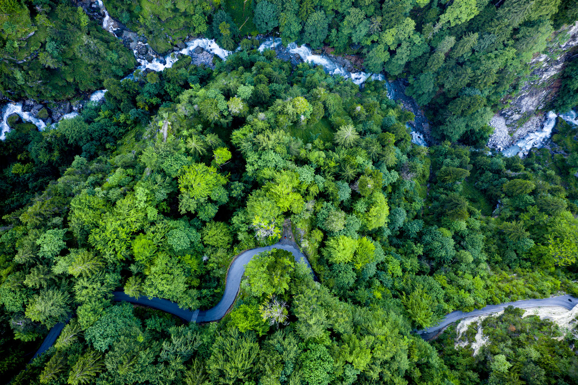 Ecoacciones Gestión Ambiental Medellín Colombia